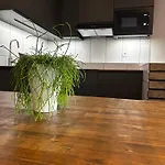 Pod Hrází Apartamento