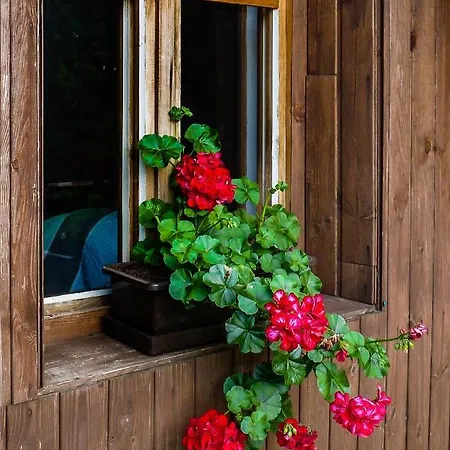 Pod Hrazi Apartment *
