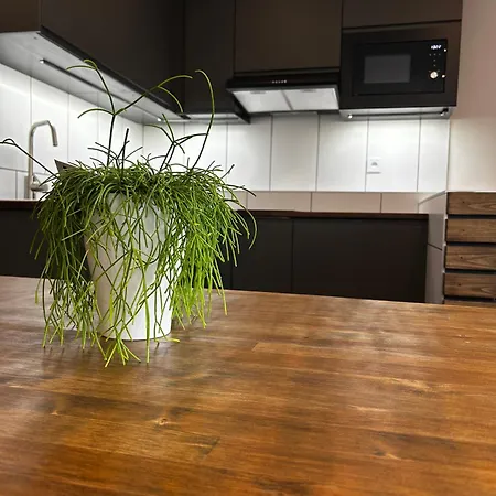 Pod Hrazi Apartment