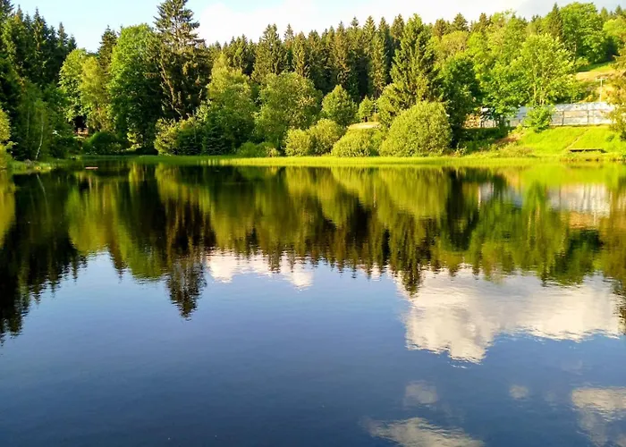 公寓 Pod Hrazi Bedřichov